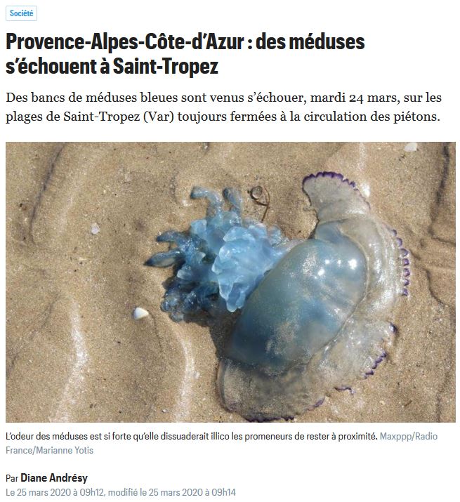 Article Le Parisien